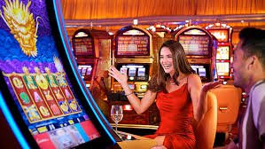 Dragon Tiger live dealer table layout showing card positions and payout chart